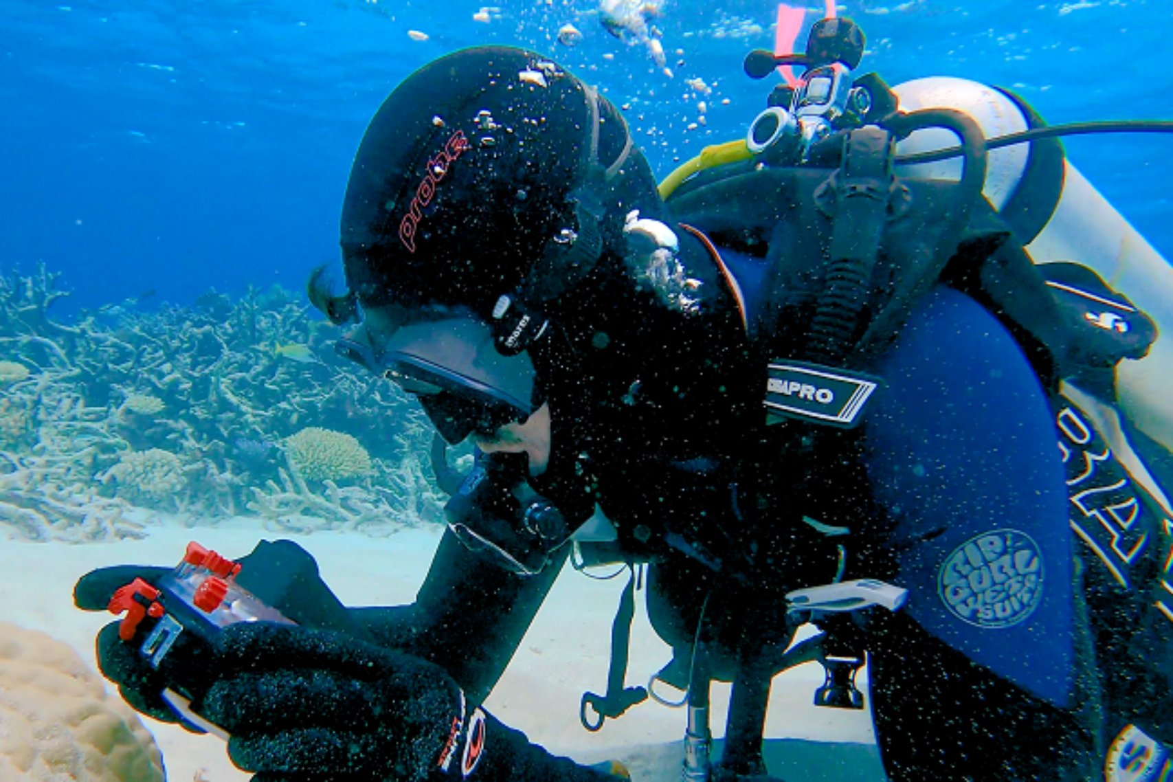 Underwater scuba diver