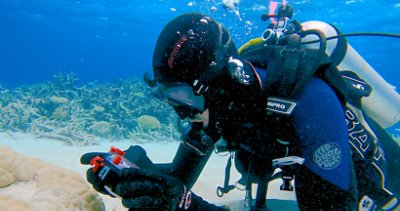 Underwater scuba diver