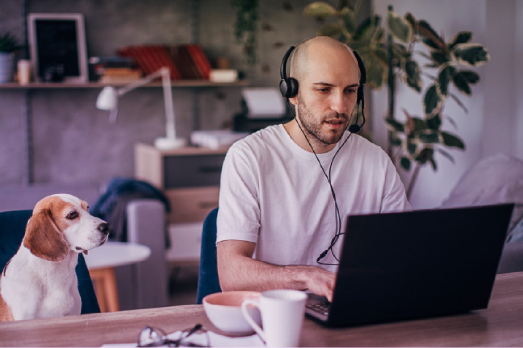 Working with dog at his side