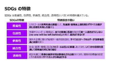 SDGs の特徴