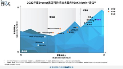 2022年度Everest 集团可持续技术服务PEAK Matrix评估