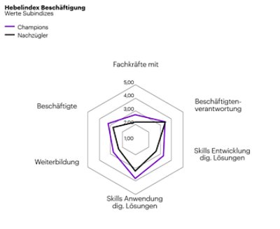 Hebelindex Beschäftigung.