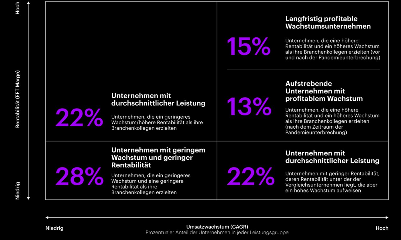 Die Segmentierung der Unternehmen nach Umsatzwachstum und Rentabilität (2017 - 2022) ergibt fünf Leistungsgruppen.