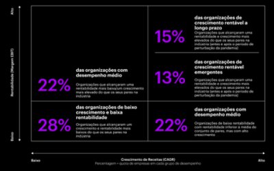 Ao segmentar as organizações com base no crescimento da receita e na rentabilidade (2017-2022), são identificados cinco grupos de desempenho.