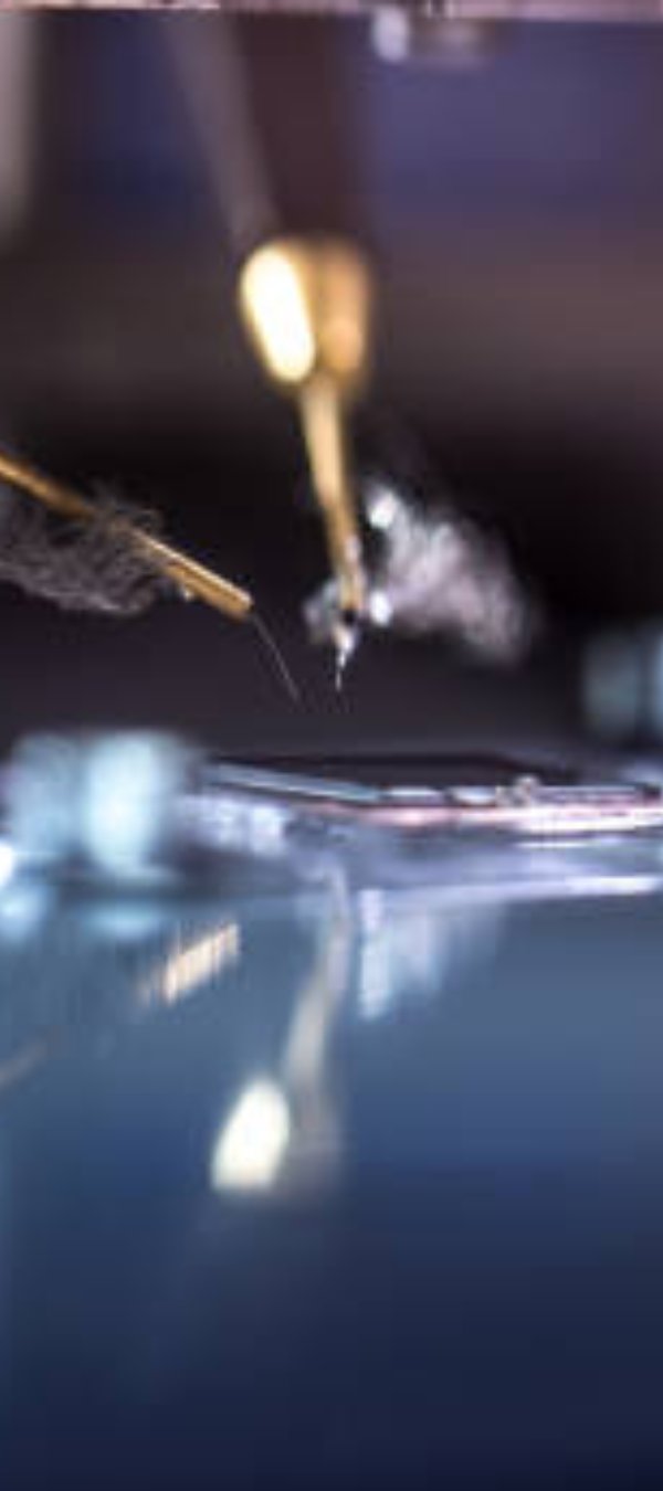 Connector of Transient Photocurrent in Organic Semiconductor Measuring Machine.