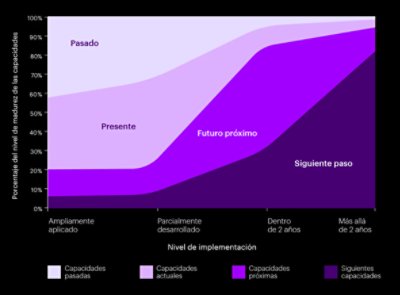 Porcentaje de nivel de madurez de capacidad