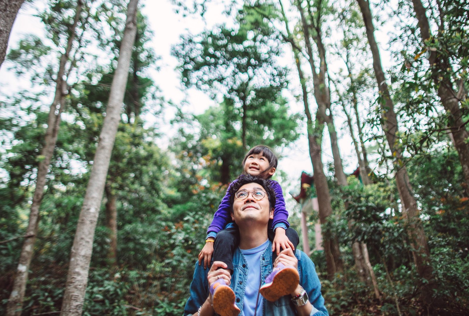 Lovely little girl riding joyfully on her young daddy’s shoulder while they are hiking in forest