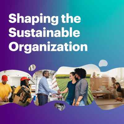 Shaping the sustainable organization