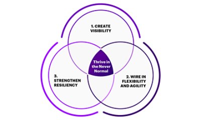 Illustration of three circles showing the intersection point between 1. Create Visibility, 2. Wire in Flexibility and Agility and 3. Strengthen Resiliency.  The intersection point is "Thrive in the "Never Normal".