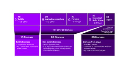 Overview of biomass types and supply. Types includes 1G Biomass, 2G Biomass, 3G biomass Supply includes 1G editable, 2G Agriculture residues, 2G Forestry, 3G Algae