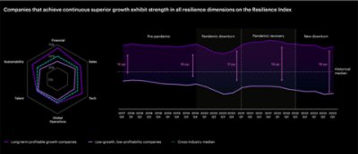 Hexagonal map and line graph of companies (broken down by sector and between the years Q4 2017 and Q3 2023, respectively) where those who achieve superior growth exhibit strength in all resilience dimensions.