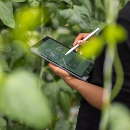 Hand Writing on Tablet Facing Plants