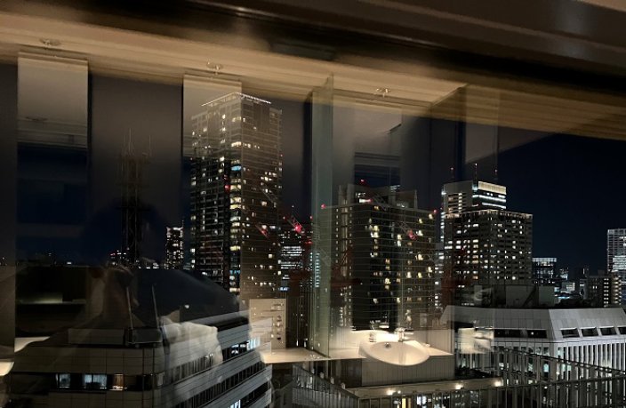 ホームオフィスである赤坂インターシティ（のトイレ）から眺める夜景で転職したことを実感