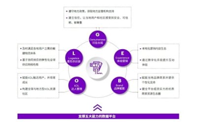 海外社交电商五大关键数字化能力建设模型