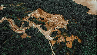 Aerial view of a forest with logging
