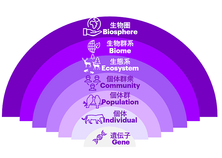 A purple graph about biodiversity
