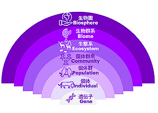 A purple graph about biodiversity