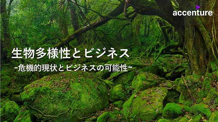 Image of a forest with text in japanese
