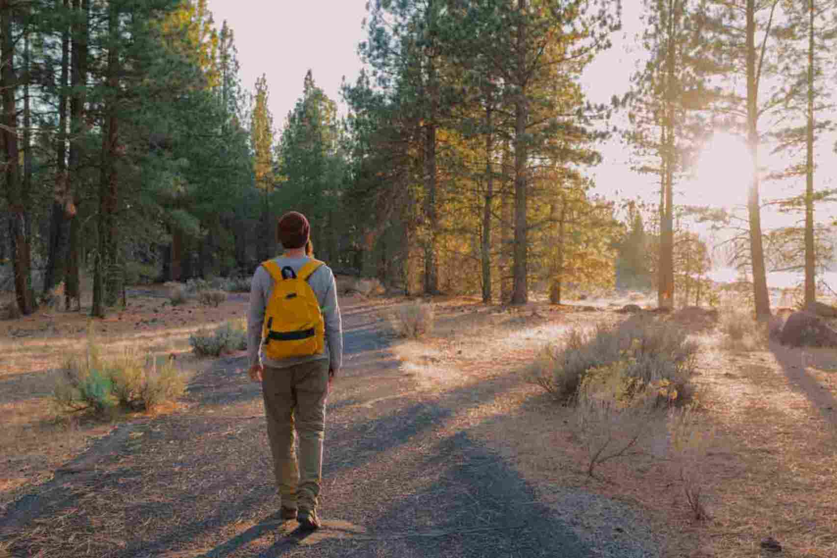 Man walking on the woods at sunrise