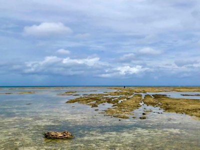 浦添に広がるイノー＜沖縄方言で珊瑚礁に囲まれた浅い海＞にて