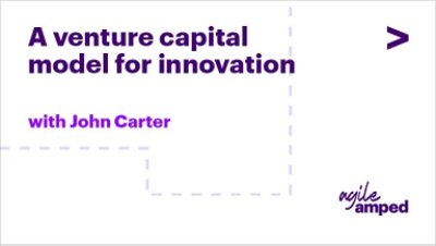 A Venture Capital Model for Innovation