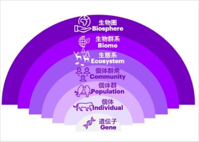 生物圏を取り巻く環境を表す図