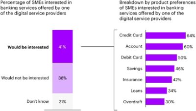 A breakdown of the banking services, offered by digital providers, which SMEs may be interested in utilizing.