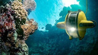 AI helps power coral reef restoration