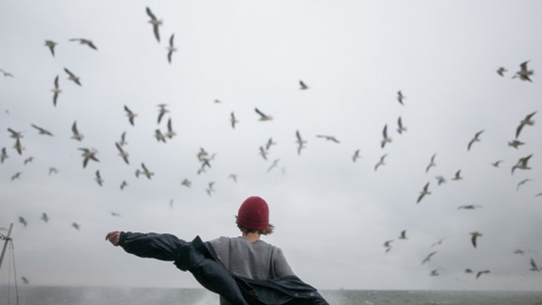 Flying With The Birds